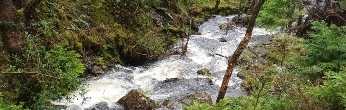 Gofod Glas, our Watery Landscape ~ Tirlun Dyfrol