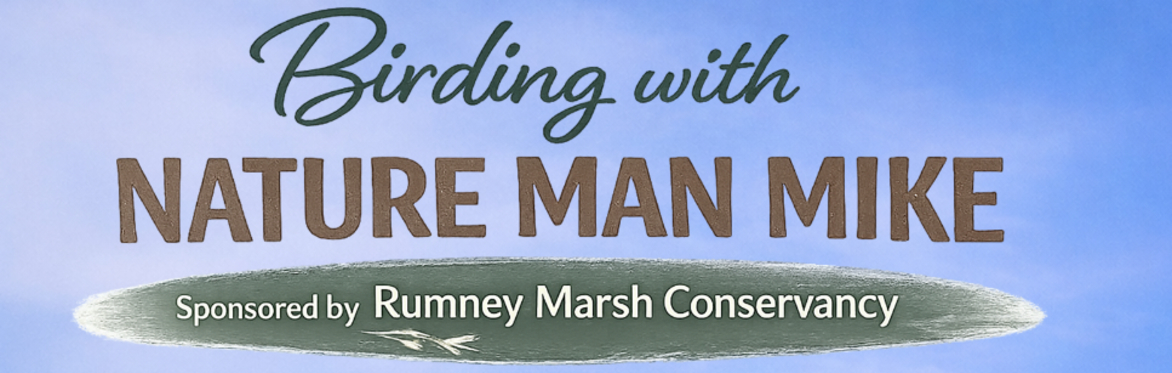 Birding with Nature Man Mike at Rumney Marsh