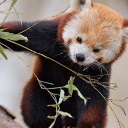 Junior Nature Photography Workshops