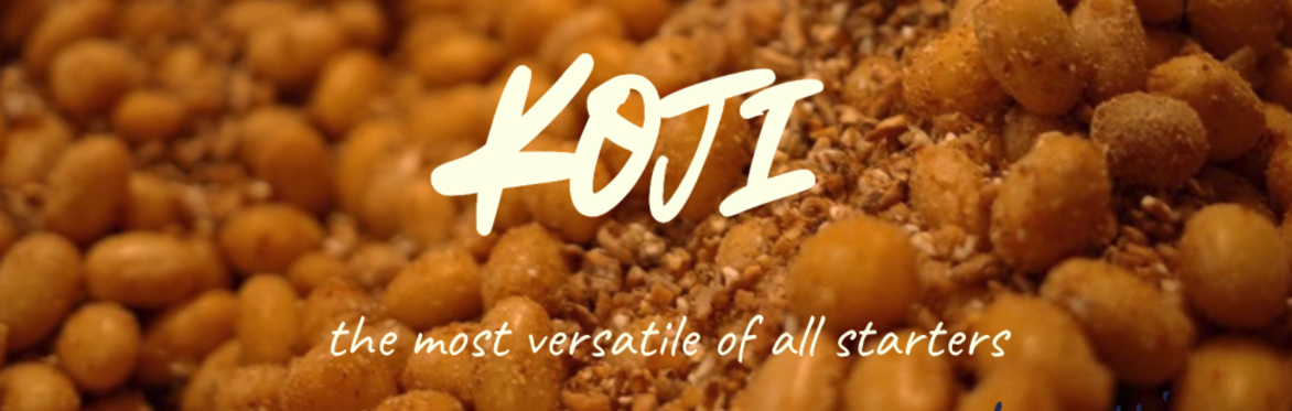 WORKSHOP Koji: From Japanese Tradition to Modern Fermentation