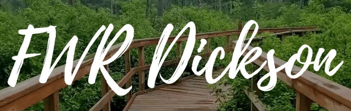 Fall Hike at FWR Dickson Wilderness Area