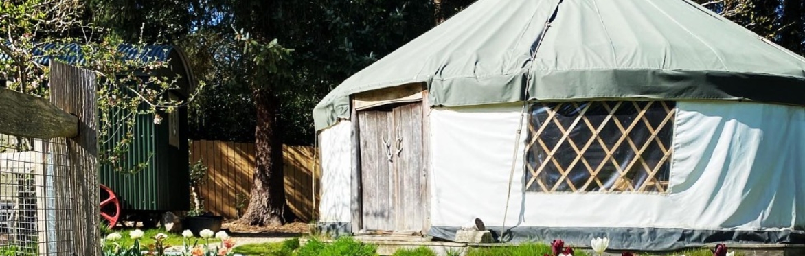 Yurt at Happy River