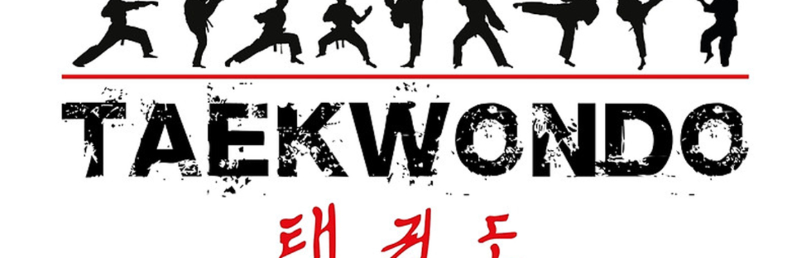 MIA Monthly Taekwondo (Tuesdays at Pioneer)