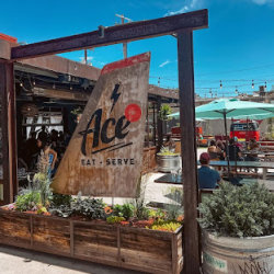 🪴 Plant Bingo Brunch - Ace Eat Serve