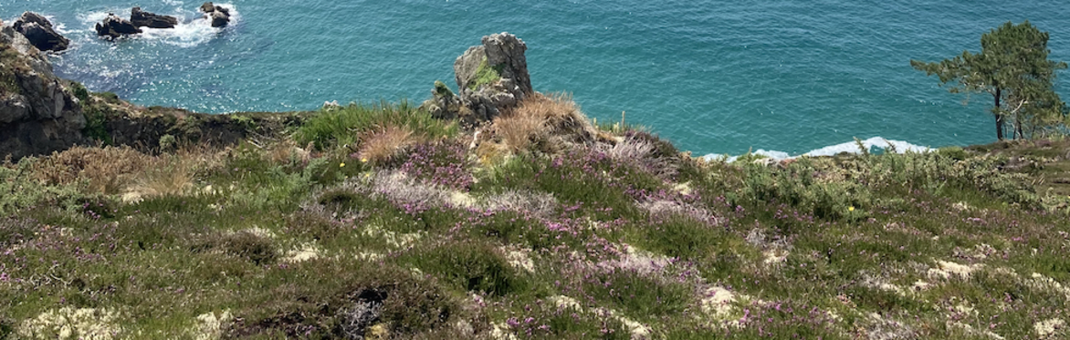 A view from a coastal path on to the Atlantic in France