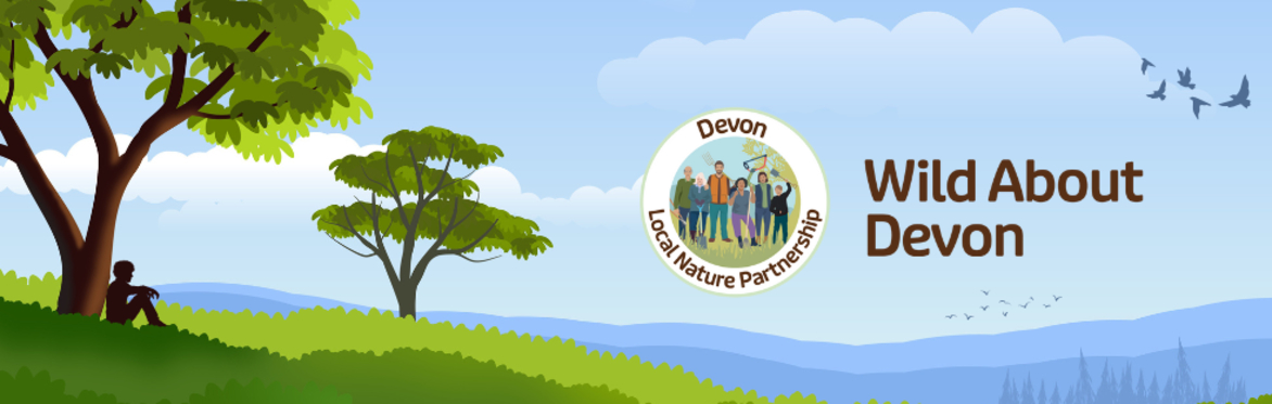 Wild About Devon Forum: South Molton Community Visit