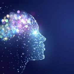 Mindful Somatic Body Mind Behaviour Training ONLINE