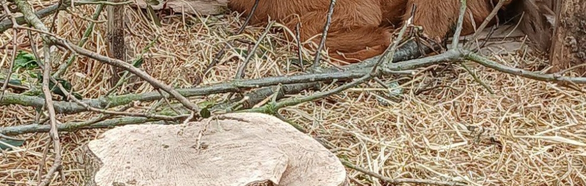 72hr Permaculture Design Course
