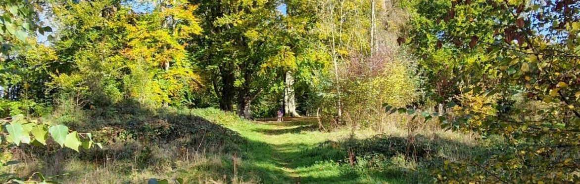 Out of the City — The Dinedor Walk