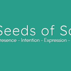 Seeds of Sound