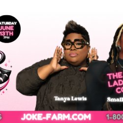 JOKE FARM LIVE at THE STEVENSON - FIRST LADIES OF COMEDY