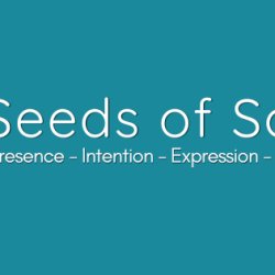 Seeds of Sound