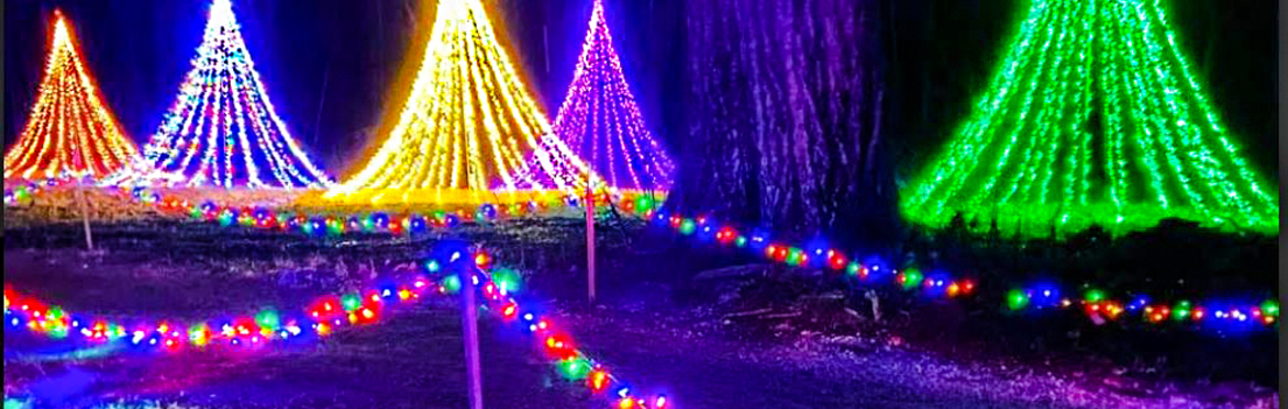 Winter Wonders