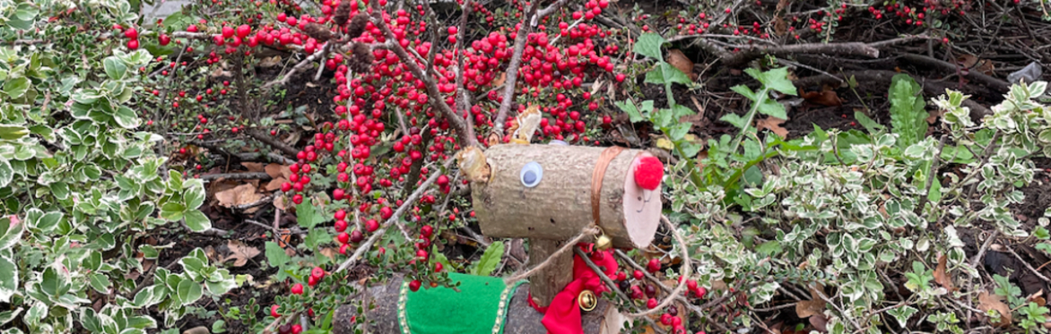 Family Natural Reindeer Decorating Workshops