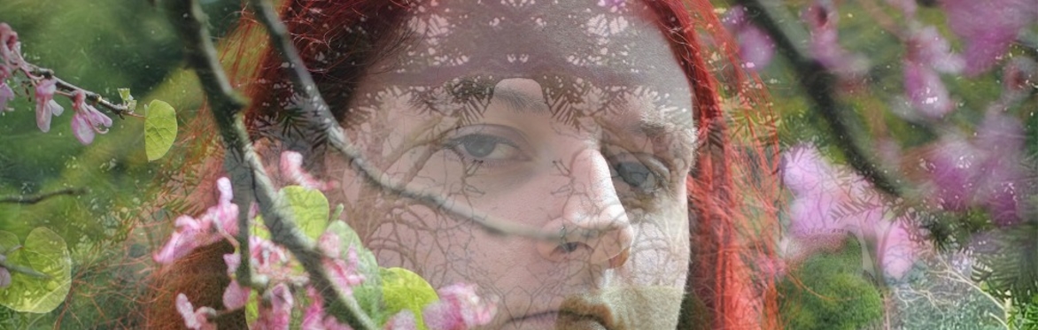 A translucent image of a woman peering through some branches is on top of an image of the maze.
