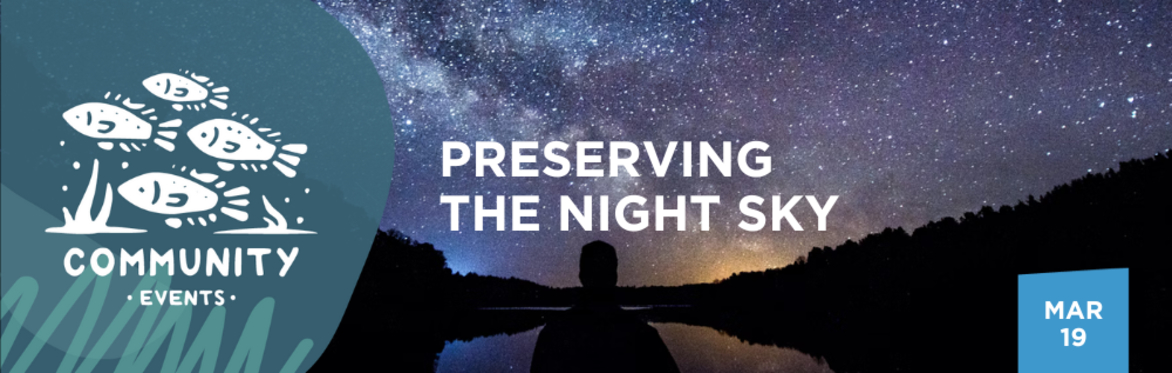 Preserving the Night Sky and Reducing Light Pollution