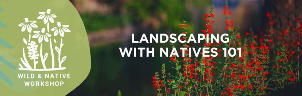 Landscaping with Natives 101