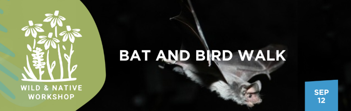 Bat and Bird Walk