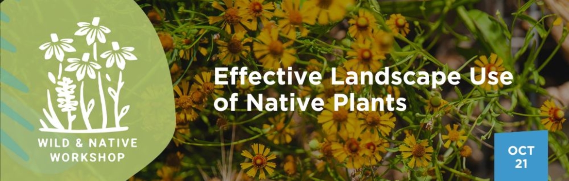Effective Landscape Use of Native Plants