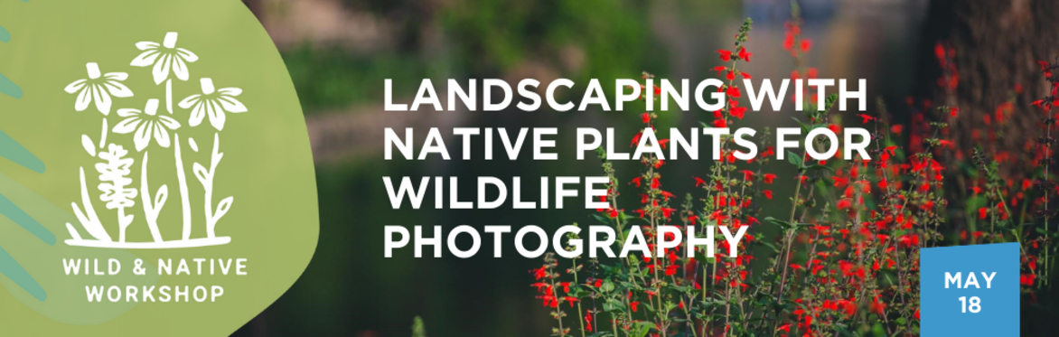 Landscaping with Native Plants for Wildlife Photography