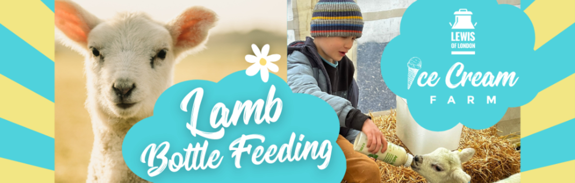 Lamb Bottle Feeding