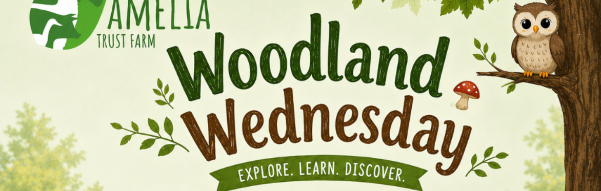 Woodland Wednesday