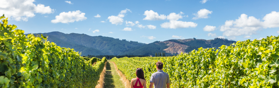 Golden State: A California Walkaround with Christopher Beros
