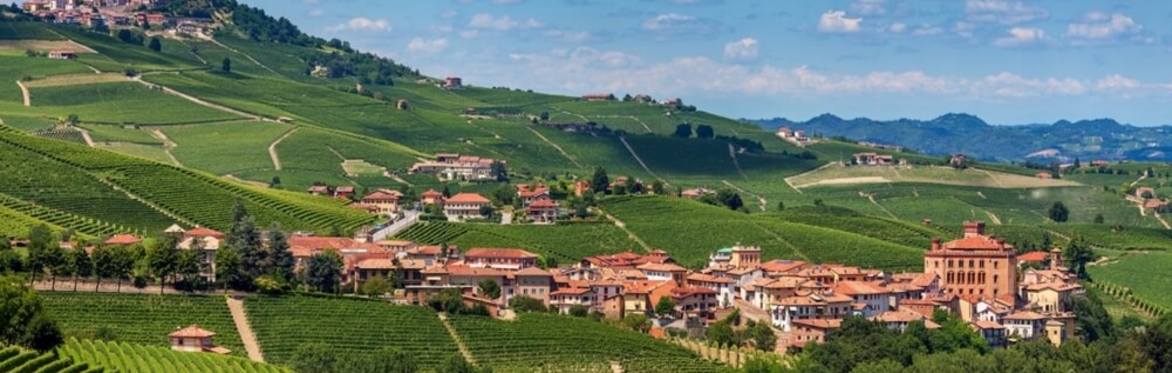 Bovio Italian Wine Dinner