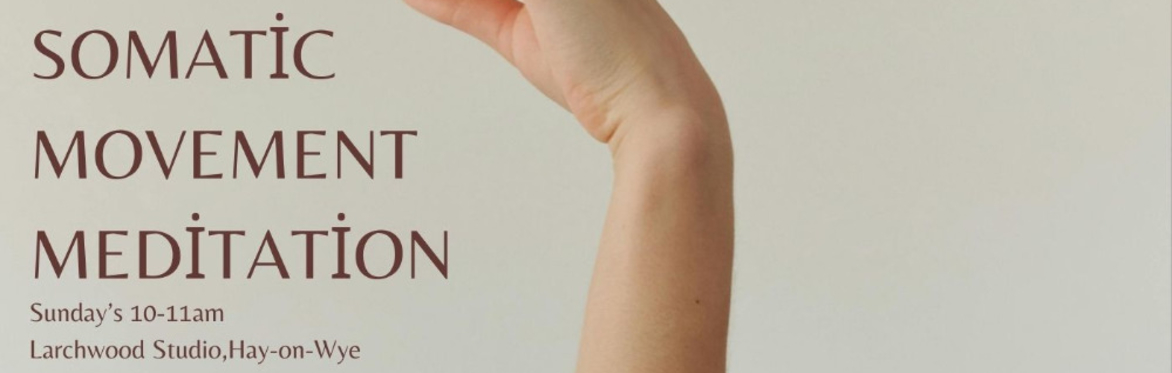 Somatic Movement Meditation