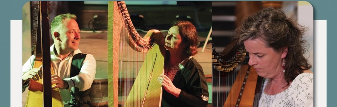 Concert - Harps Together in collaboration with Harp Ireland