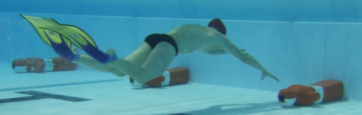 Lifesaving Sport for Adults (Beginners)