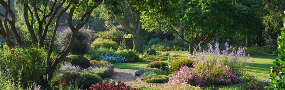 Beth Chatto Gardens. Asa Gregers-Warg