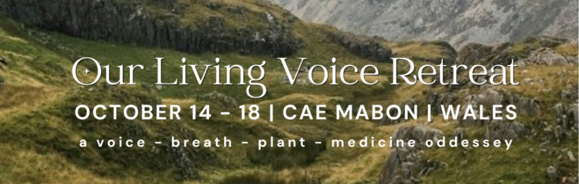 Our Living Voice Retreat :    Cae Mabon, Snowdonia