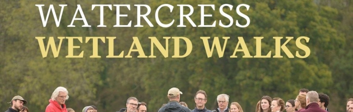 Watercress Wilding Walks