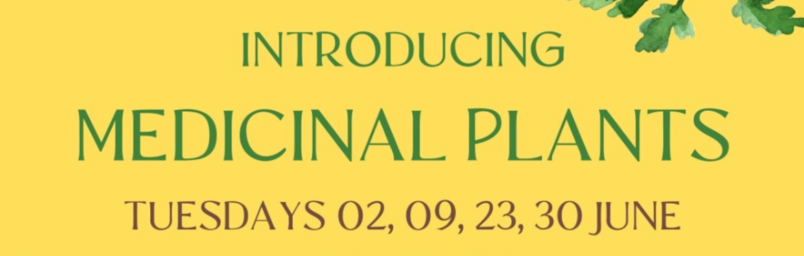 Introducing Medicinal Plants