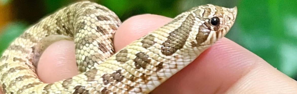 Mirfield zoology club