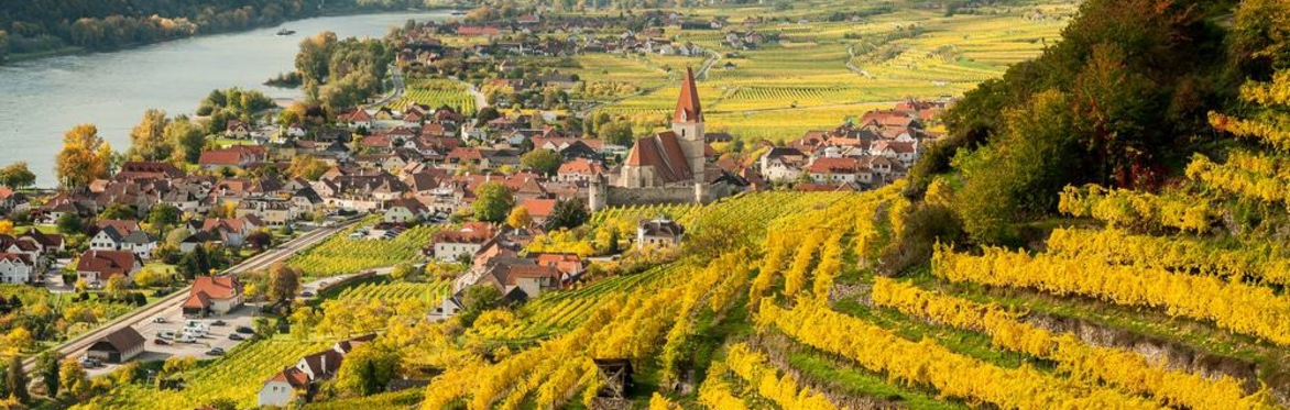 Friday Night Wine School - Austria, a Small but Mighty Wine Region