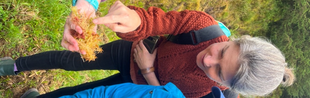 Shared Bogs, Shared future – Stories from the Peatlands