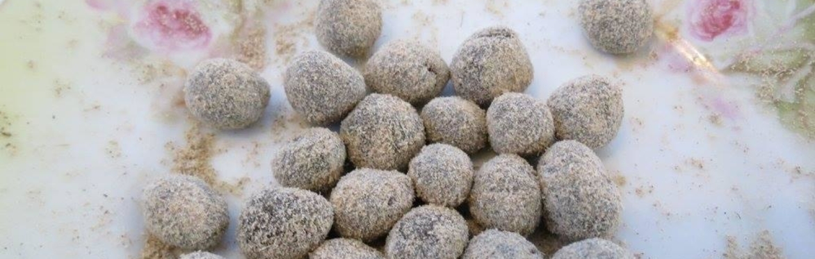 online herbal medicine course