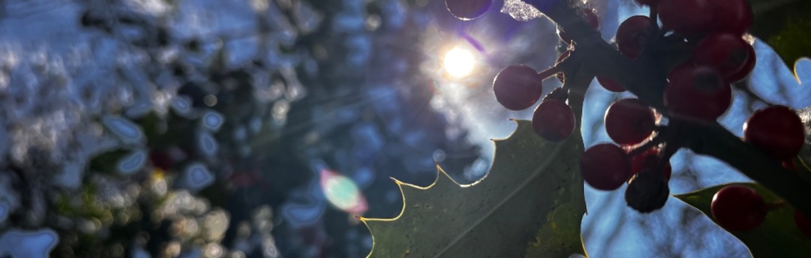 Yuletide Tales for schools and groups