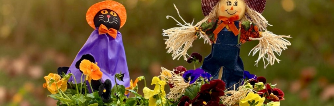 Pumpkin Pot Workshop