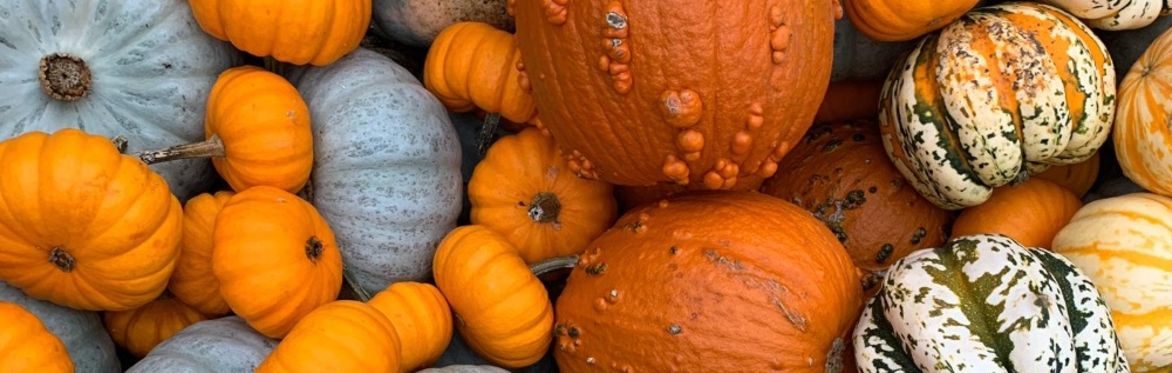 Lewis of London Pumpkin Party!