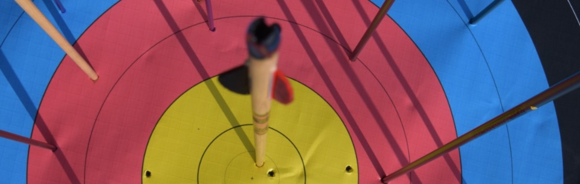 The gold, red and blue rings of a target filled with arrows.