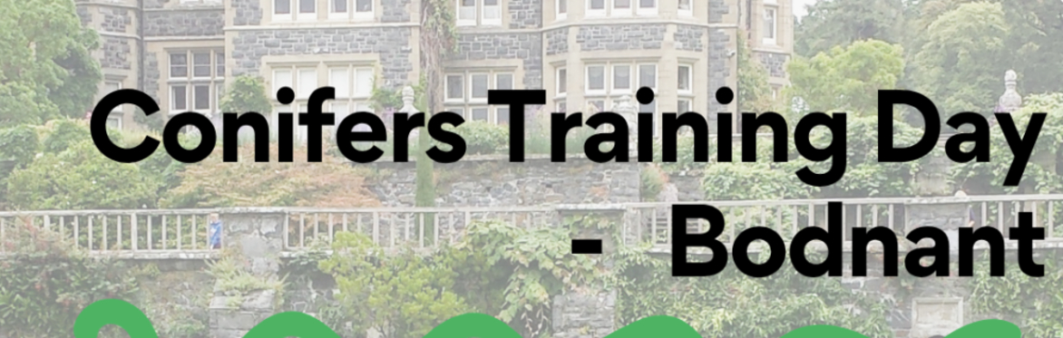Conifers Training Day - Bodnant