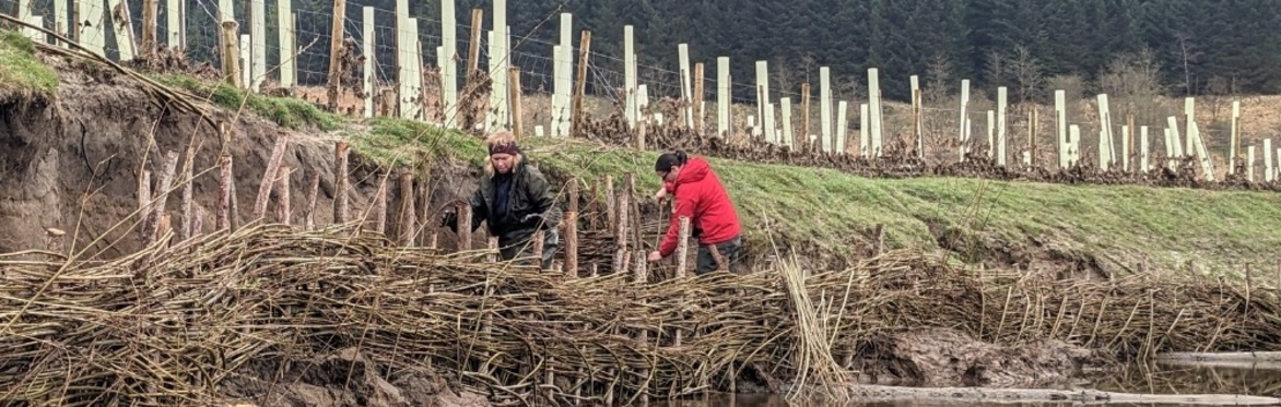 Working with nature to tackle flooding and drought in the Upper Forth