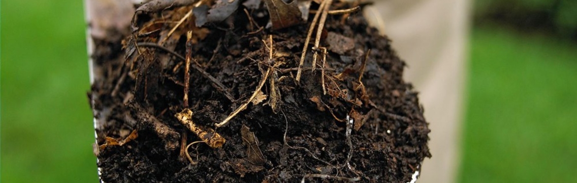 Distribution de compost et paillis Île-des-sœurs Automne 2025