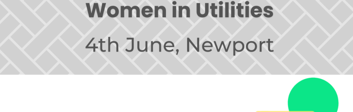 Championing Change: Creating Better Workplaces for Women in Utilities .