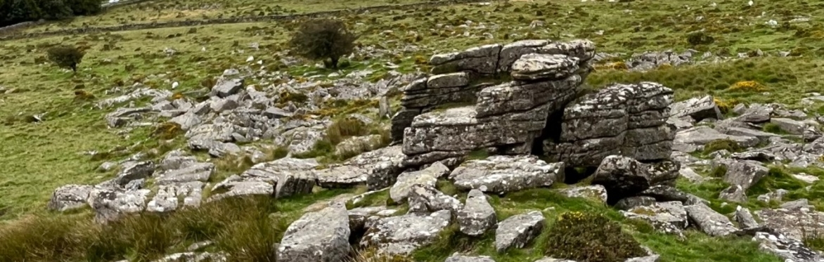 Crockern Tor & Wistman’s Wood: Stories at the Heart of the Moor