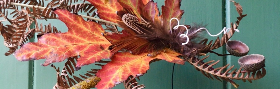 Green skills workshop: Wild Wings – Create Your Own Flying Creature
