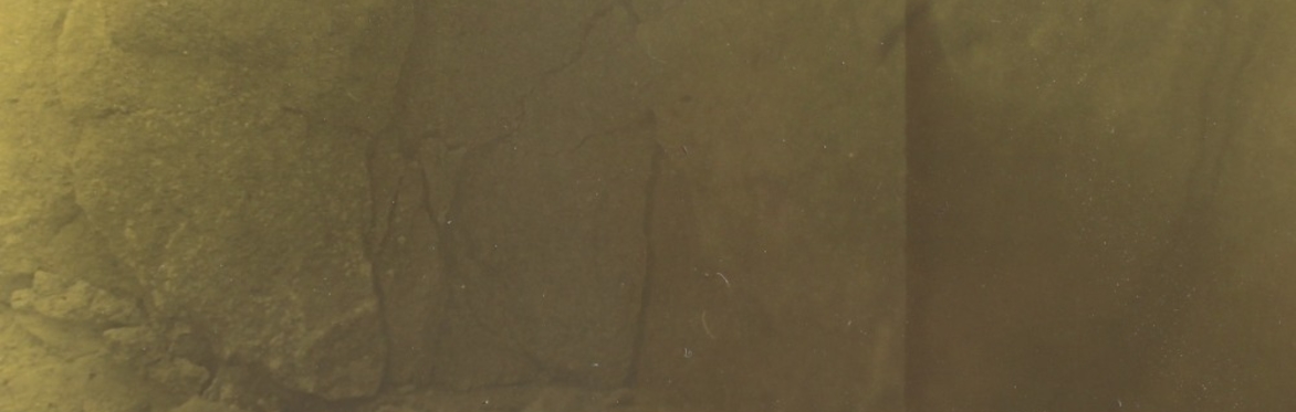Rock Ecologies